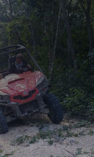 Aventura en Buggies: Tour por la jungla