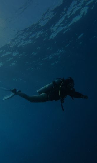 Cenote Diving