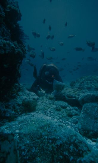 Diving in Playa Del Carmen