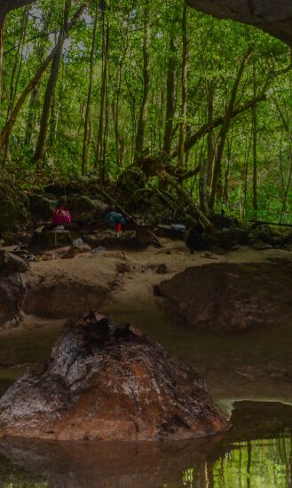 3 Cenotes Tour in Akumal + Cobá
