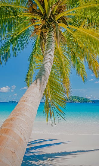 Saona Island Regular Tour