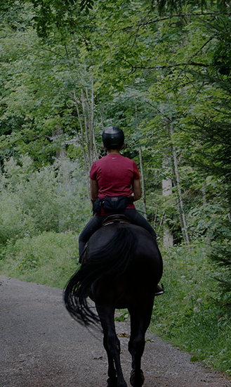 Excursión a La Hacienda Park con transporte