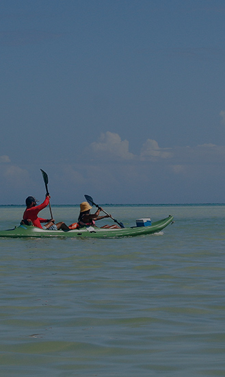 Kayak Tour through the Holbox Mangroves