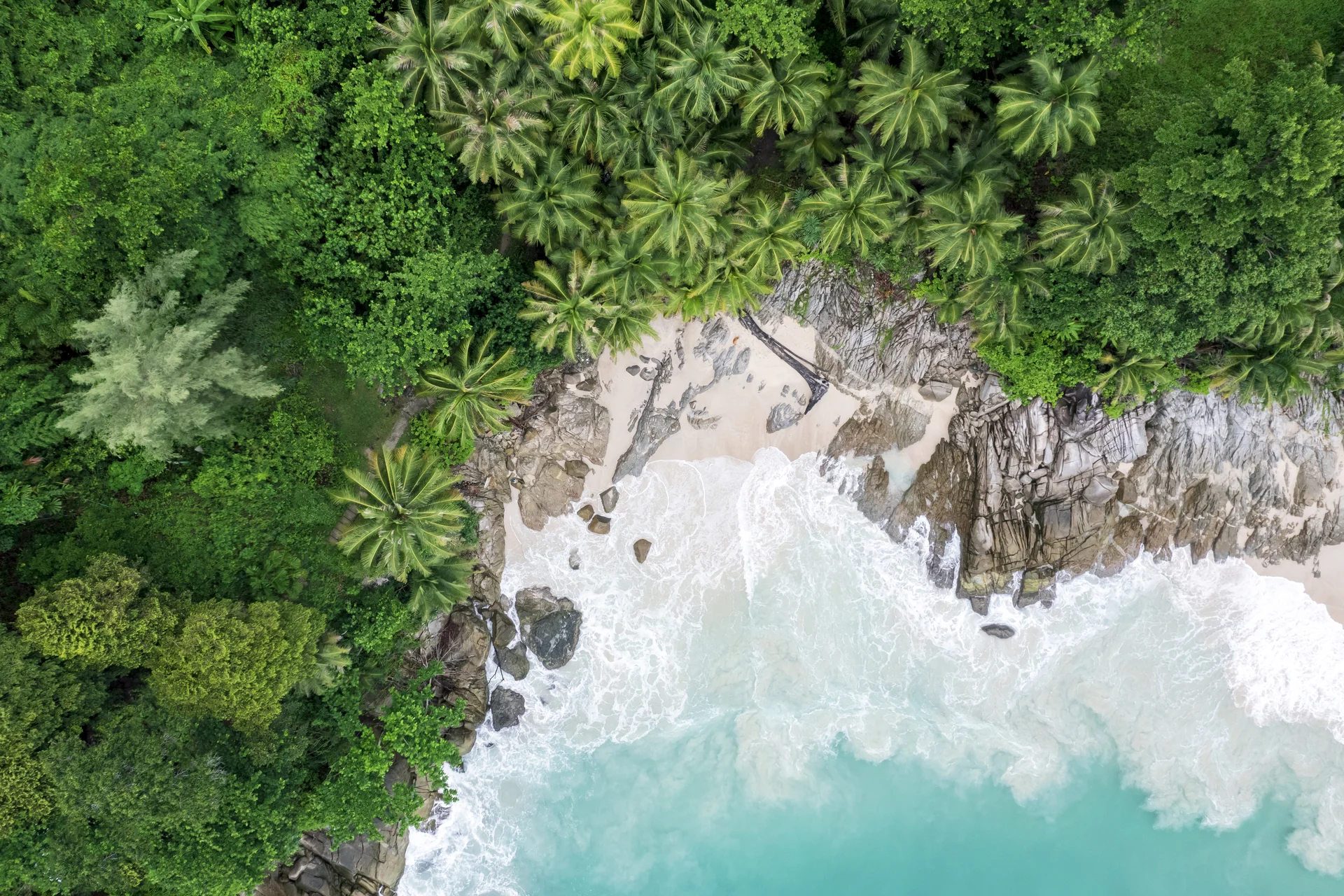 preciosa-tropical-isla-con-playa-y-cocos isla tropical