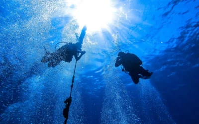 [English] ¿Dónde puedes hacer buceo en Punta Cana?